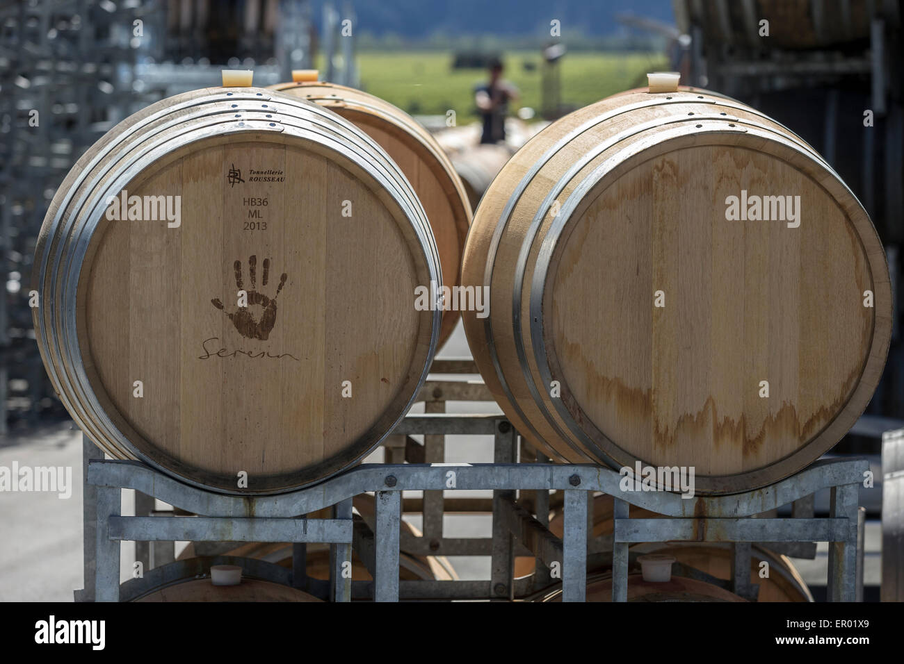Barriles de vino en Seresin Estate Winery mostrando el característico logotipo Hand Foto de stock