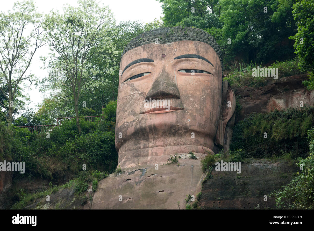 El Buda gigante de Leshan (DAFO) talladas en la ladera del acantilado en el Mingjian, Dadu y Qingyi ríos durante la Dinastía Tang Foto de stock