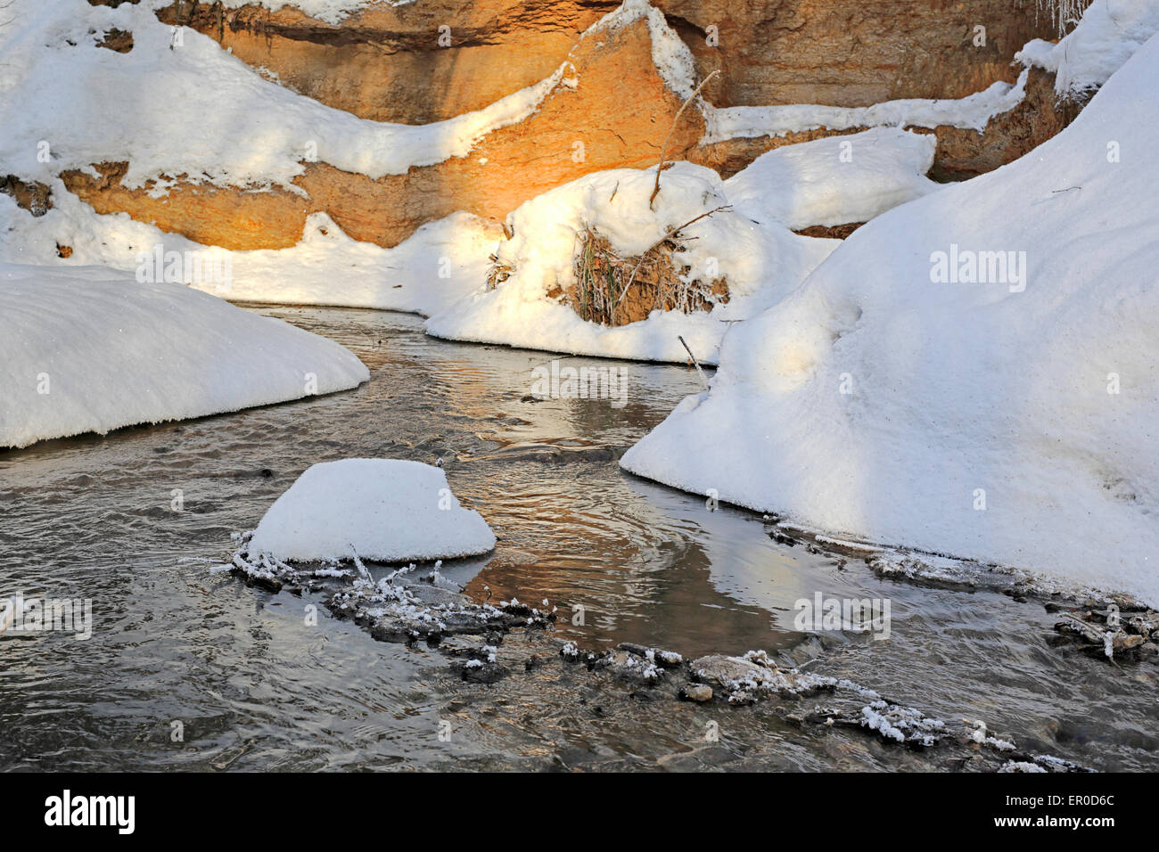 En la ribera del río bosque invernal blanco nieve agua fría Foto de stock