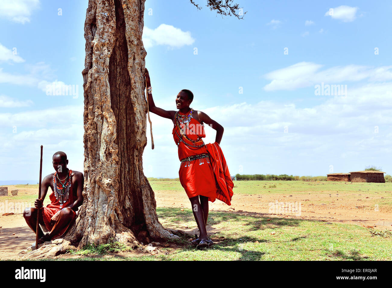 Massai en la sombra y acacia Foto de stock