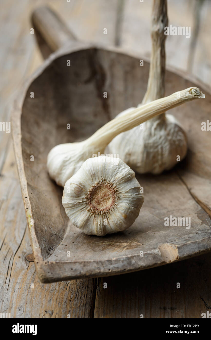 Bulbos Del Ajo En La Prensa De La Tabla De Cortar Y De Ajo Foto de archivo  - Imagen de ingredientes, horizontal: 91423202