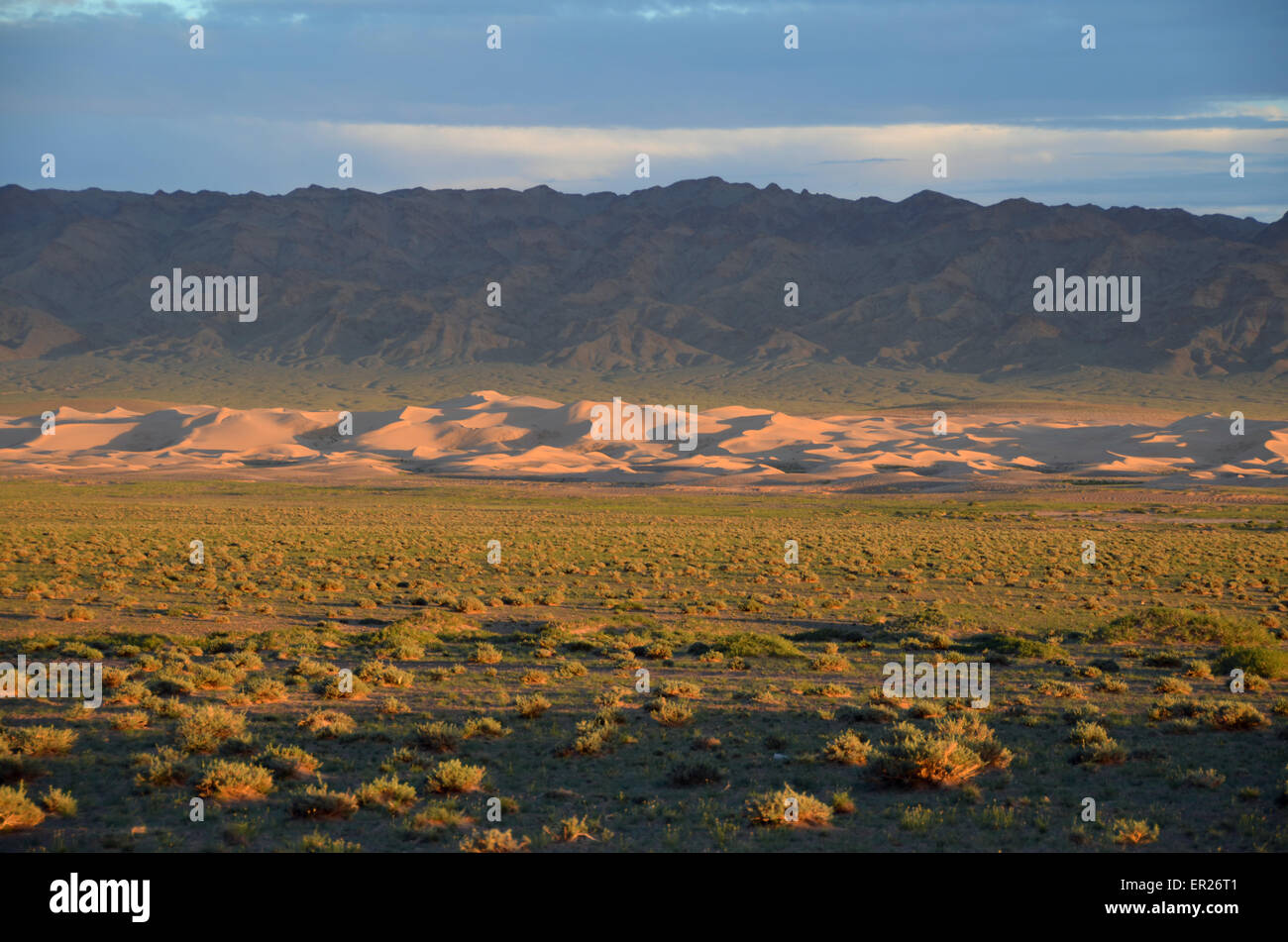 Las dunas de arena de Khongoryn al atardecer en el desierto de Gobi, Mongolia meridional, Provincia Omnogovi.solitaria, emptyness Foto de stock