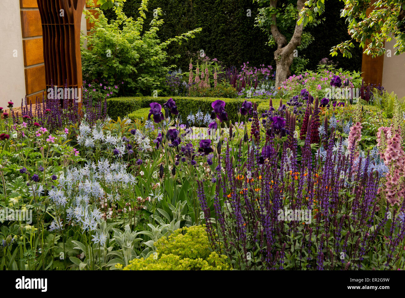 El Morgan Stanley Ciudades Sanas jardín diseñado por Chris Beardshaw en el Chelsea Flower Show 2015. Foto de stock
