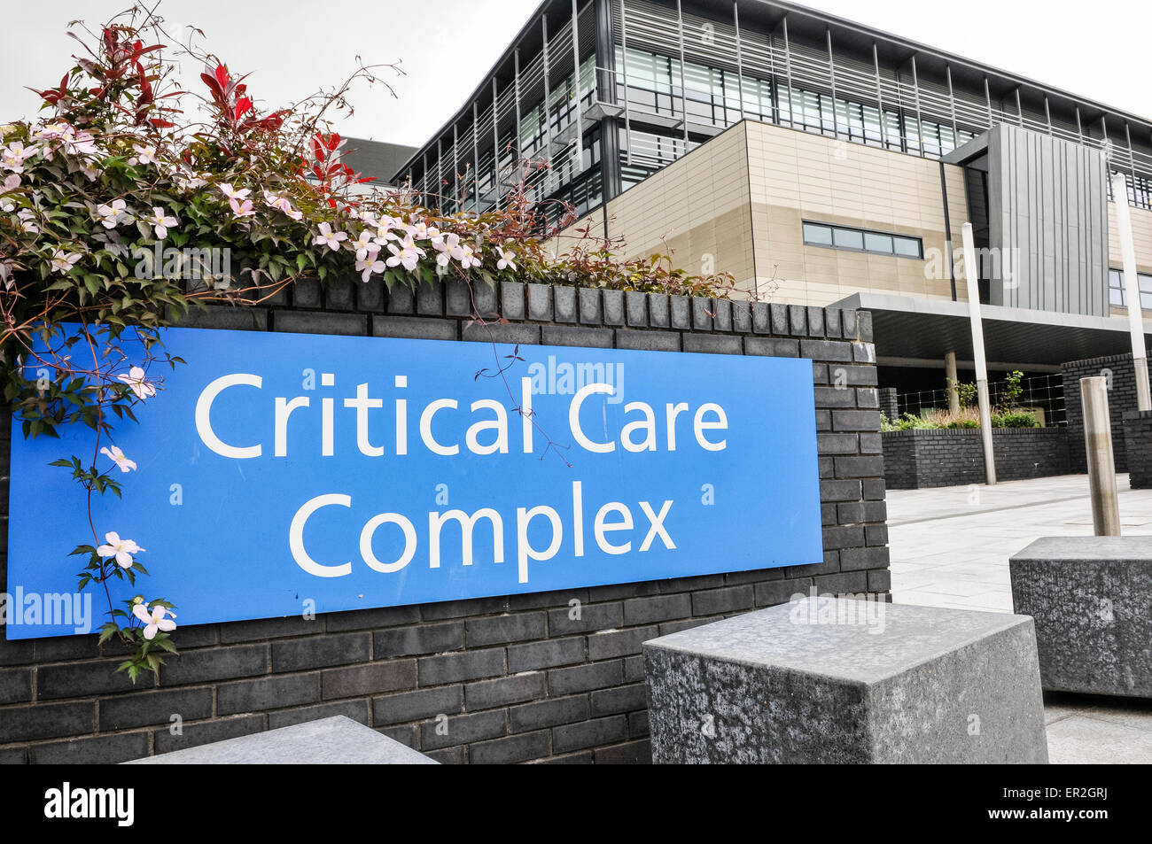 Complejo de Cuidados críticos del hospital del Ulster, Belfast Foto de stock