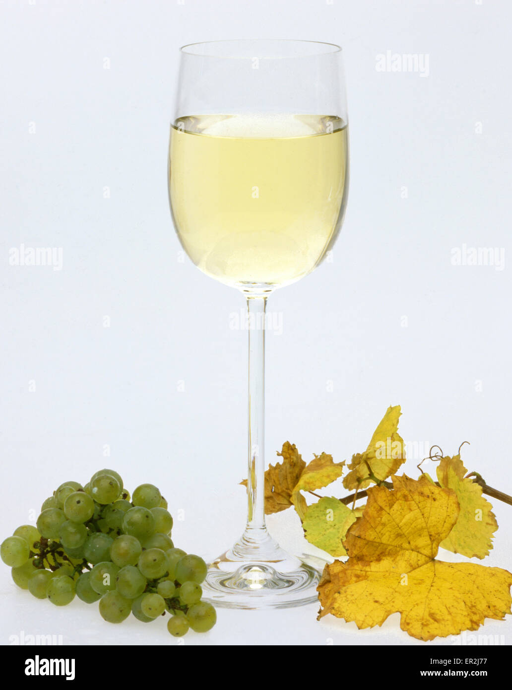Wein, Weisswein, Glas, Weinglas Trinken Alkohol,,,,, Weintrauben Weinlaub Getraenke Foto de stock