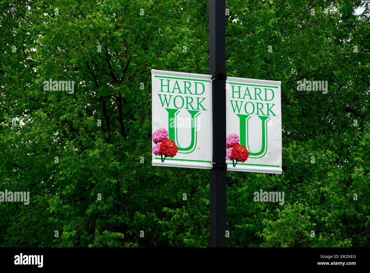 College of the Ozarks también conocido como TRABAJO DURO U, Lookout