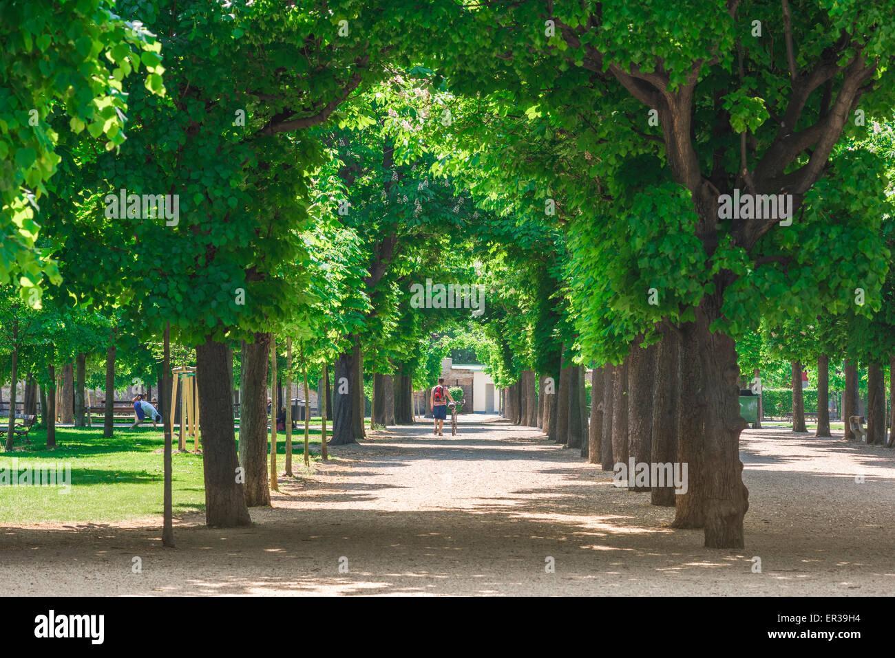 Parque Augarten de Viena, vista a finales de la primavera de las coloridas avenidas arboladas del parque Augarten en el distrito Leopoldstadt de Viena. Foto de stock
