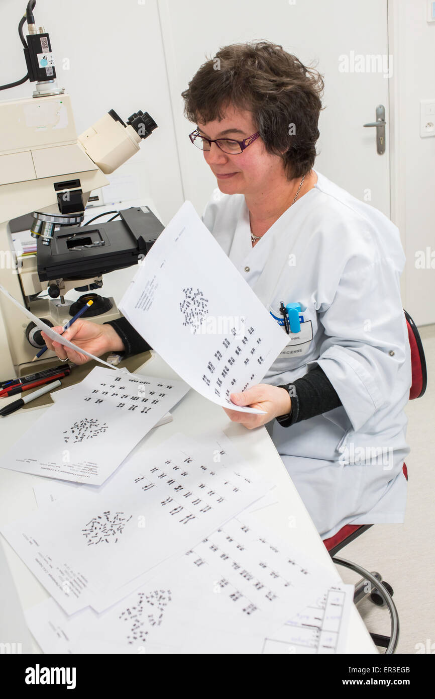 Si Fácil proteína Observación microscópica y el análisis de los cromosomas, la biología y el  Centro de Investigación en Salud del Hospital Universitario (CBRS) Limoges,  Francia Fotografía de stock - Alamy