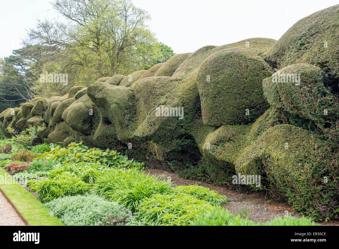 Topiary aleatorios inusuales Walmer Castle Garden tratar Kent Foto de stock
