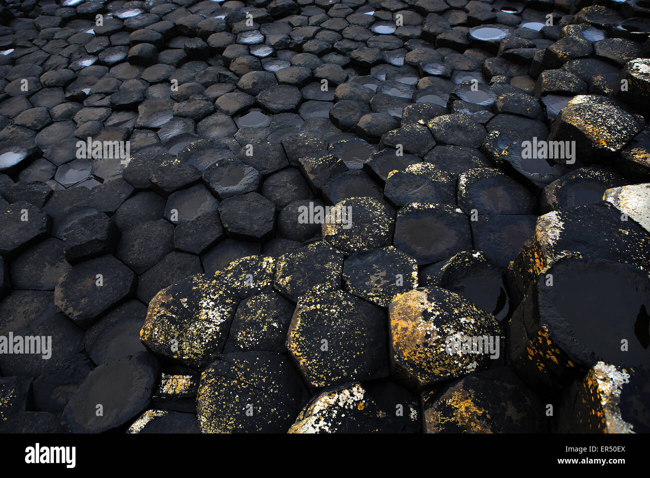 Giant's Causeway.El Condado de Antrim.Irlanda del Norte.UK.europa.típico de basalto columnar hexagonal Foto de stock