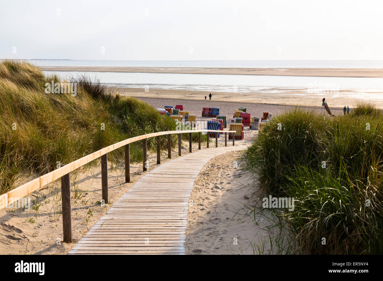 Paseo en las dunas de la playa, Isla Langeoog, Mar del Norte, Islas de Frisia Oriental, Frisia Oriental, Baja Sajonia, Alemania, Europ Foto de stock
