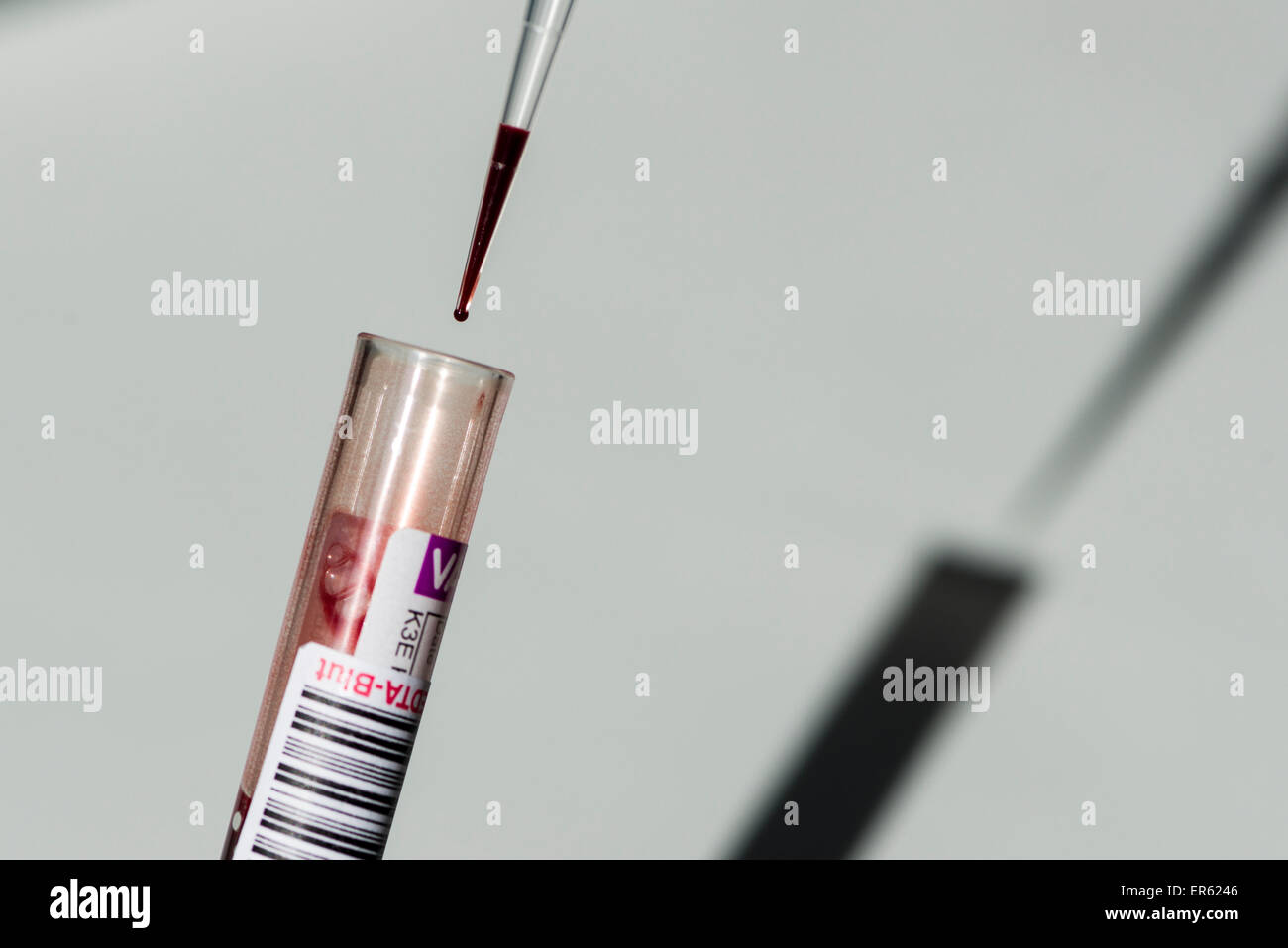 La sangre es extraída de un tubo capilar con una pipeta, Chemnitz, en Sajonia, Alemania Foto de stock
