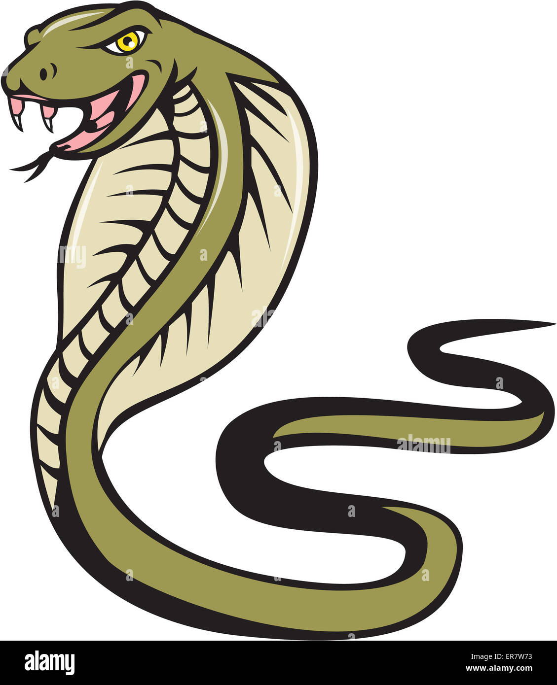 Ilustración de un viper cobra SERPIENTE SERPIENTE con lengua atacando visto desde el lado establecer sobre fondo blanco aislado realizado en estilo de dibujos animados. Foto de stock