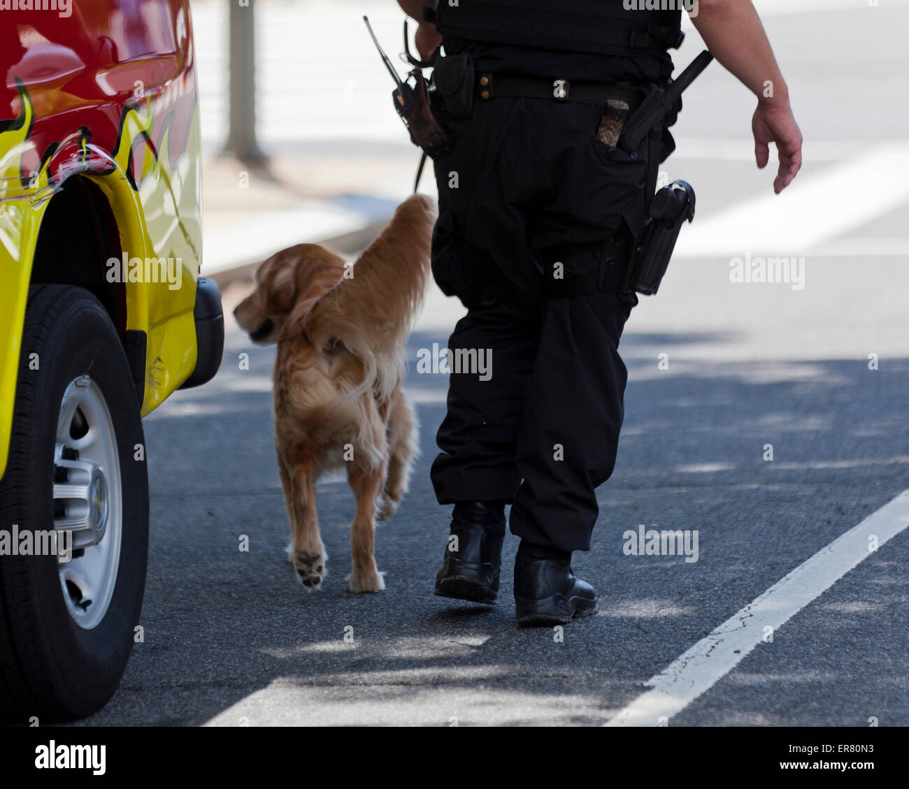 Perro policía - Washington, DC, EE.UU. Foto de stock
