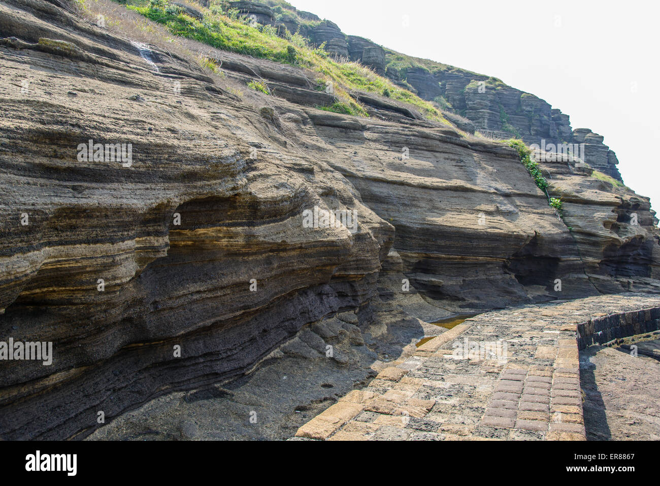 Varias plantas ásperas y capas de rocas sedimentarias extraño en el famoso sitio turístico Yongmeori Dragon Head Coast (costa) en la Isla de Jeju. Foto de stock
