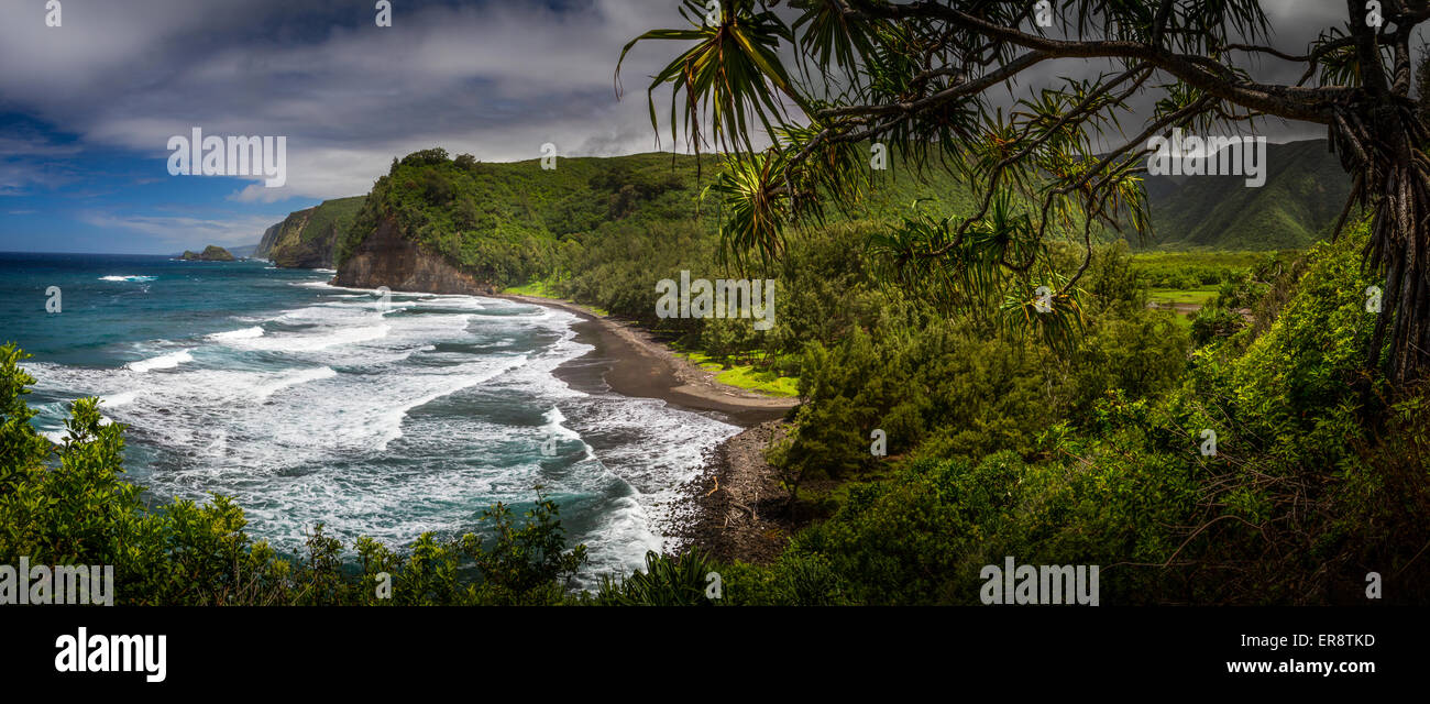 La famosa escena de apertura del Parque Jurásico - Pololu Valley, la isla de Hawaii, Hawaii, EE.UU. Foto de stock