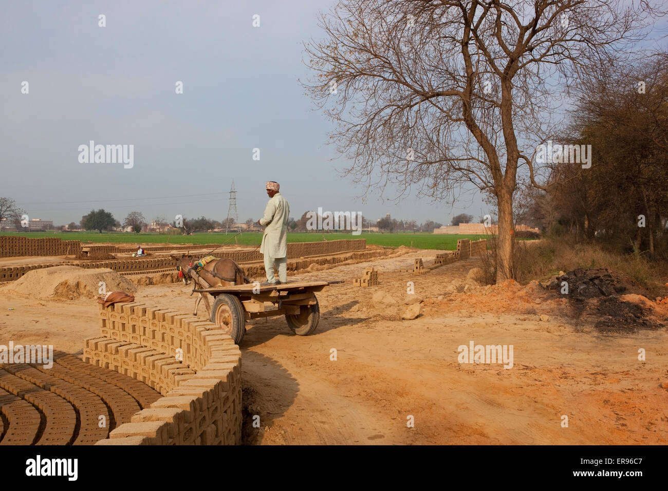 Un hombre del Punjab impulsa una carreta de burro en una zona rural cerca de Bathinda obras de fabricación de ladrillos en el estado indio de Punjab Foto de stock