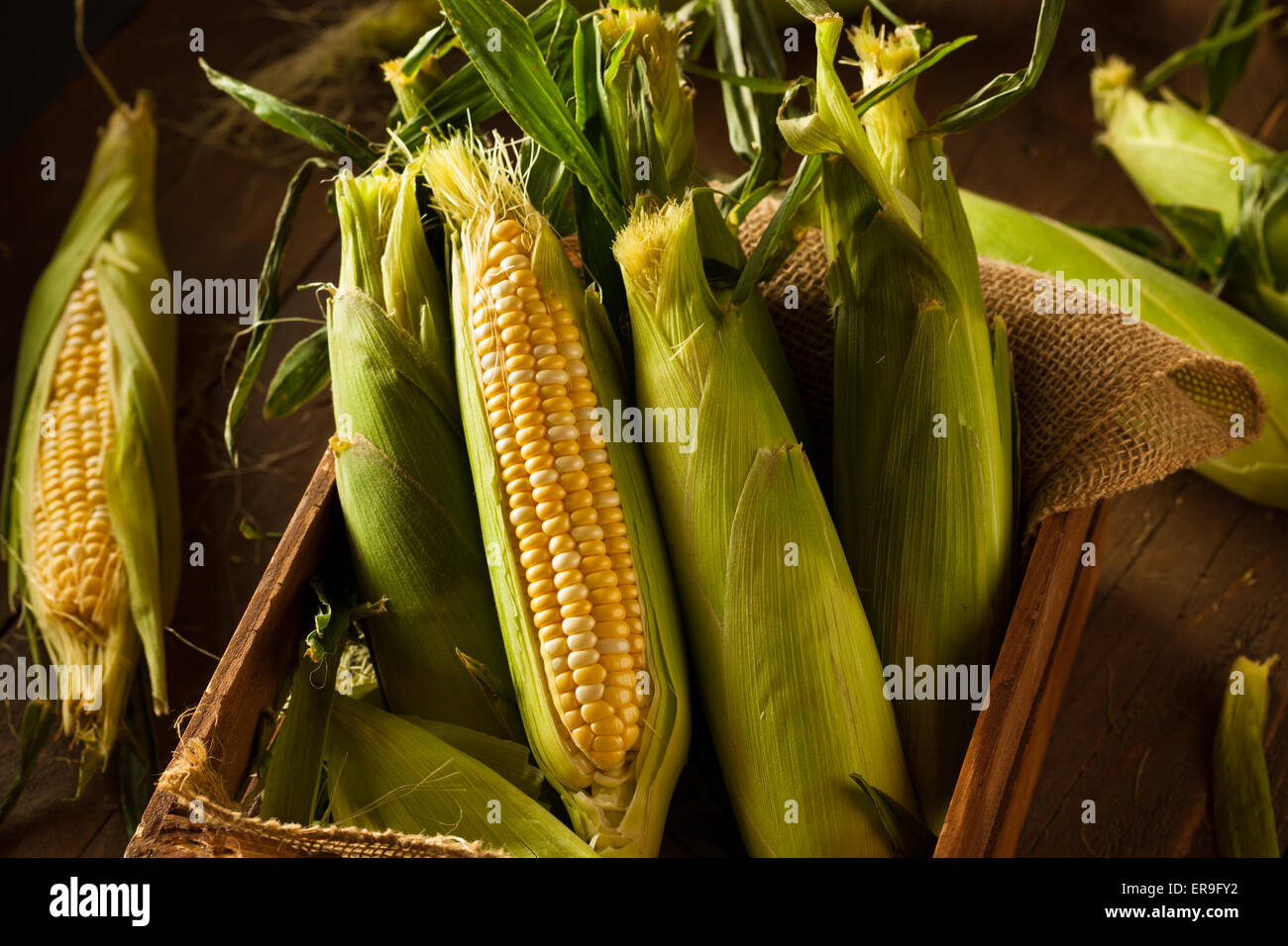 Materias orgánicas Seet Amarillo maíz listos para cocinar Foto de stock