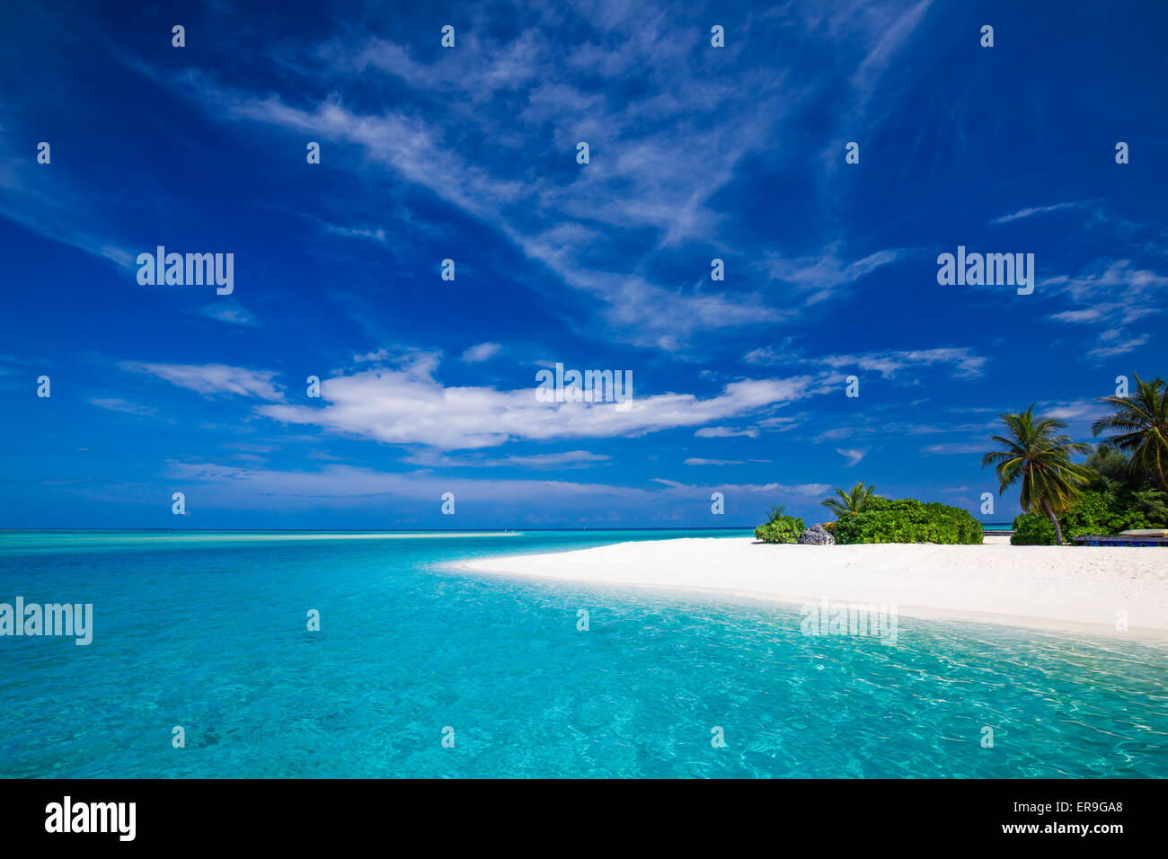 Blanca playa tropical en Maldivas con algunas palmeras y laguna azul Foto de stock