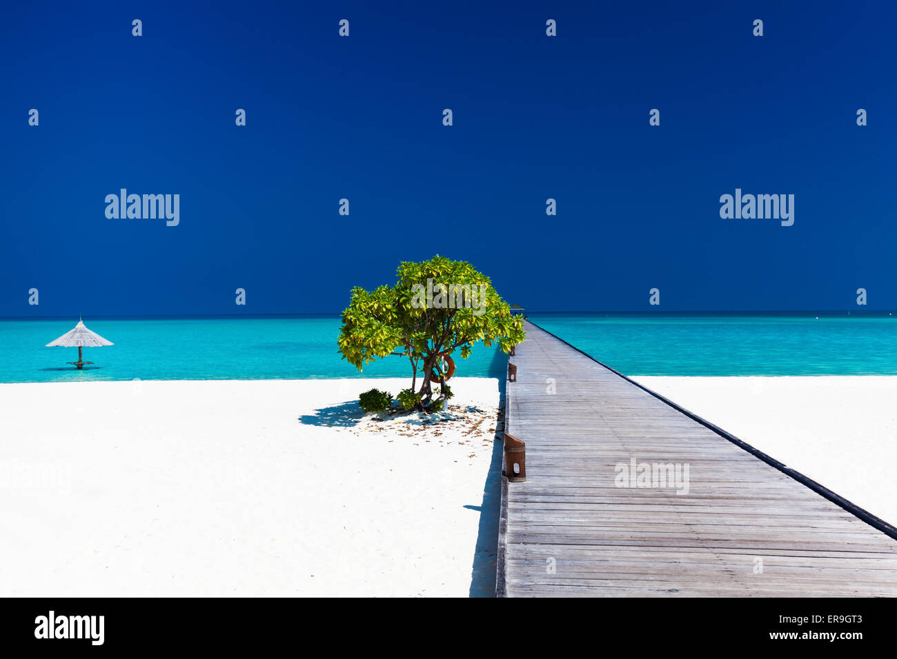 Hermosa playa con embarcadero y wodden pequeño árbol único en Maldivas Foto de stock