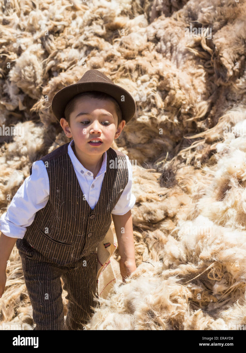 Sábado, 30 de mayo de 2015, Gran Canaria, Islas Canarias, España. Un joven  con traje tradicional ayuda a recoger la lana como más de treinta campesinos  se reúnen en la aldea de