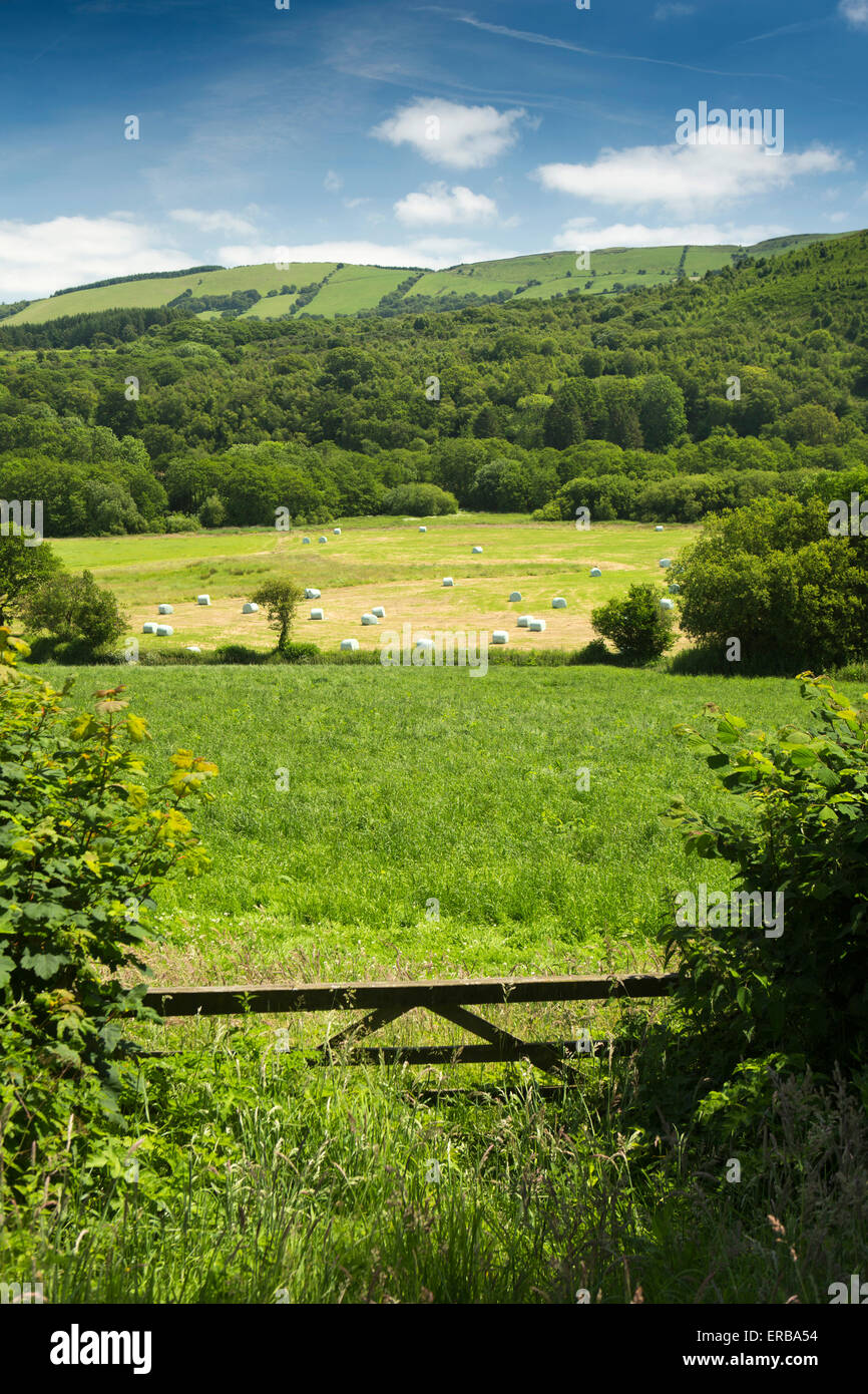 Carmarthenshire, Gales, Belén, el paisaje agrícola debajo de Carn Goch Foto de stock