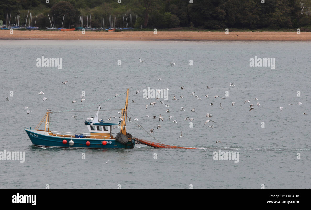 Barco de pesca en Southampton agua de vuelta al muelle, seguido por gaviotas Foto de stock