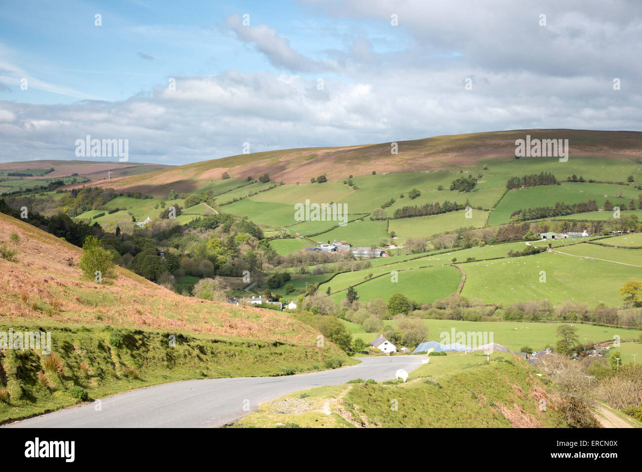 Cerca de la frontera del país de Gales de Builth Wells, Powys, Gales, Reino Unido Foto de stock