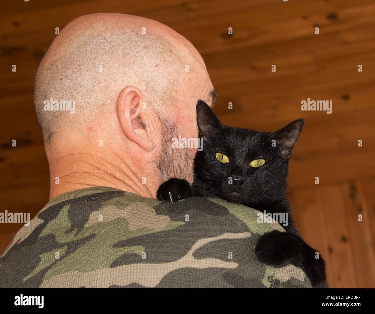 Hombre de mediana edad con su gato negro mirando por encima del hombro en el visor Foto de stock