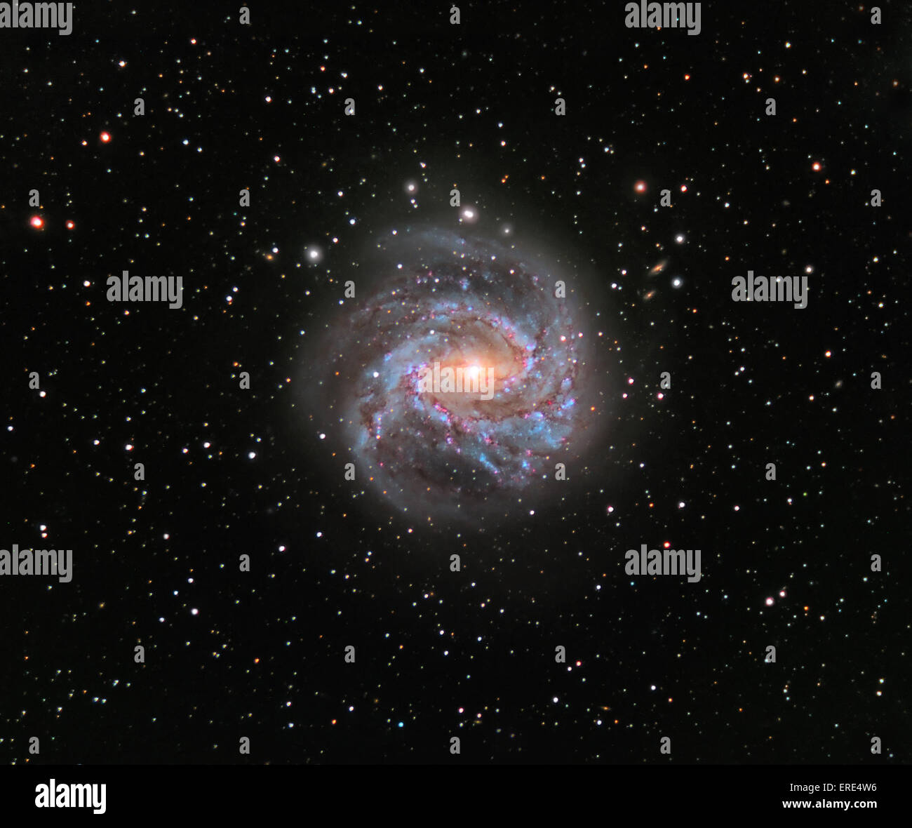 Galaxia remolino del sur Foto de stock