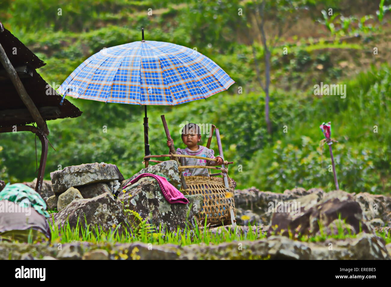 Bebé y su paraguas, paraguas azul, hijo del granjero, un niño trabajador,  niño niña, pradera, rocas, naga niño, Nagaland, agricultura Fotografía de  stock - Alamy