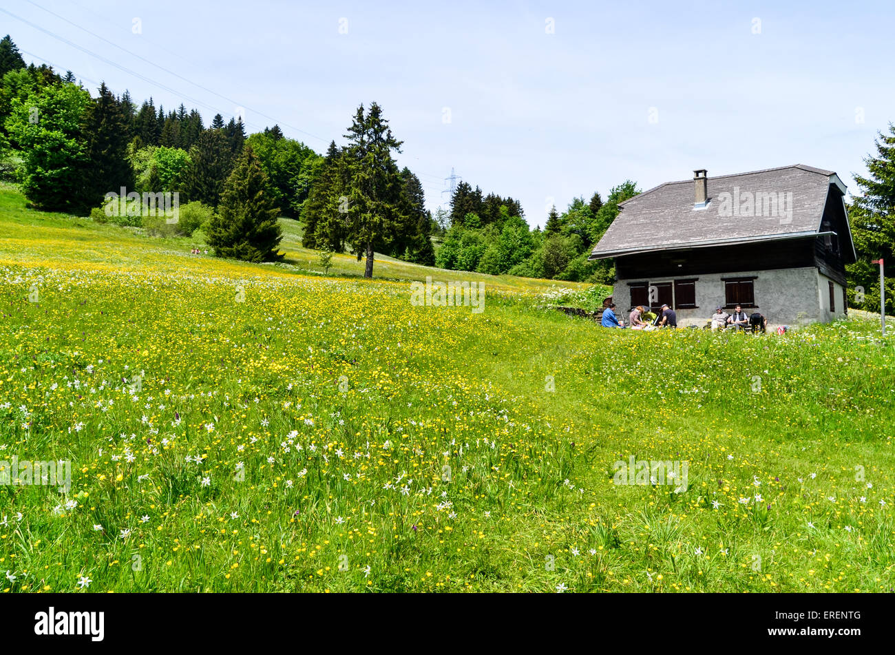 Chalet Casa en las montañas de Suiza Foto de stock