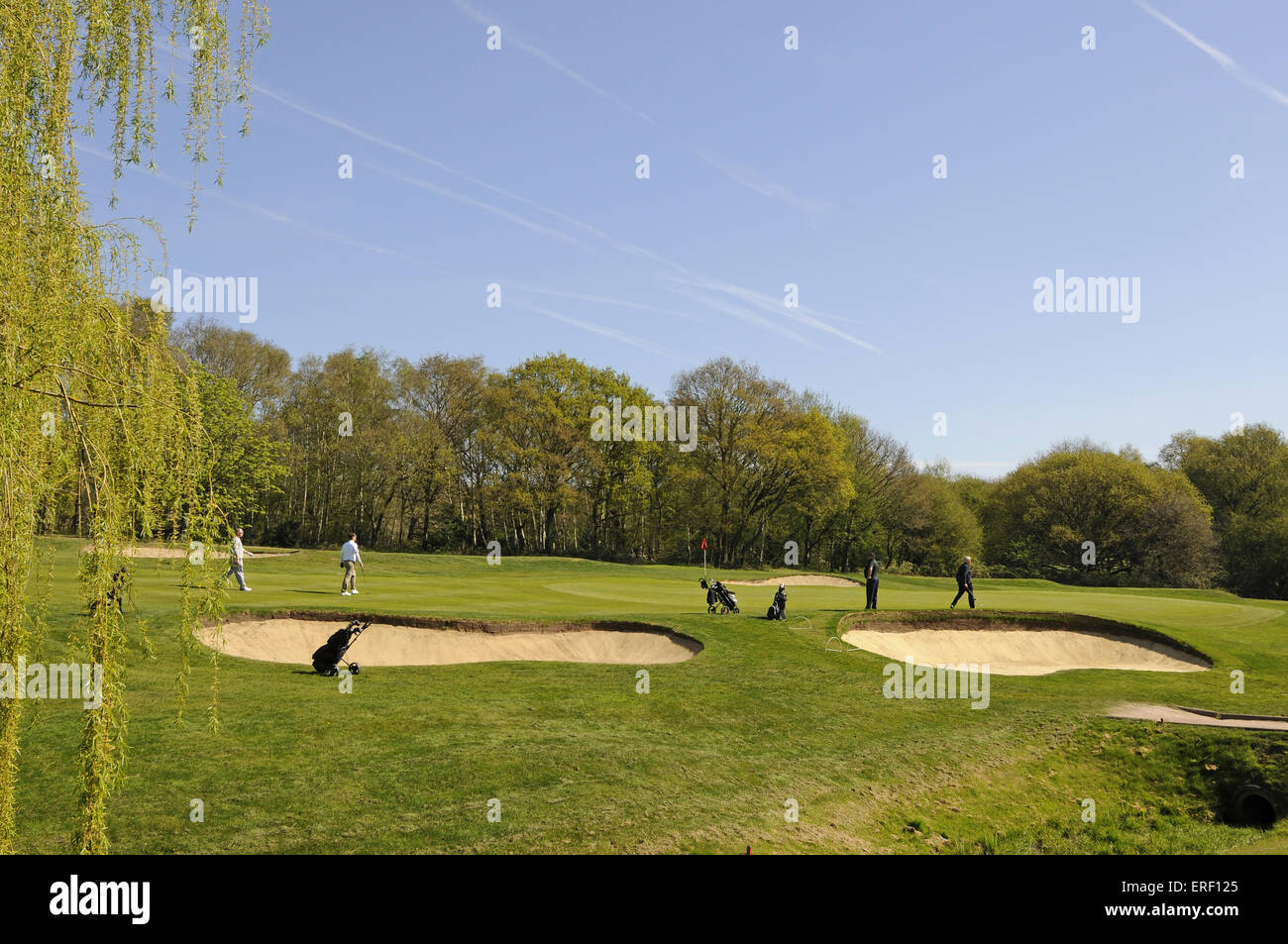 Ver al cuarto orificio con golfistas, Thorndon Park Golf Club Brentwood Essex, Inglaterra Foto de stock