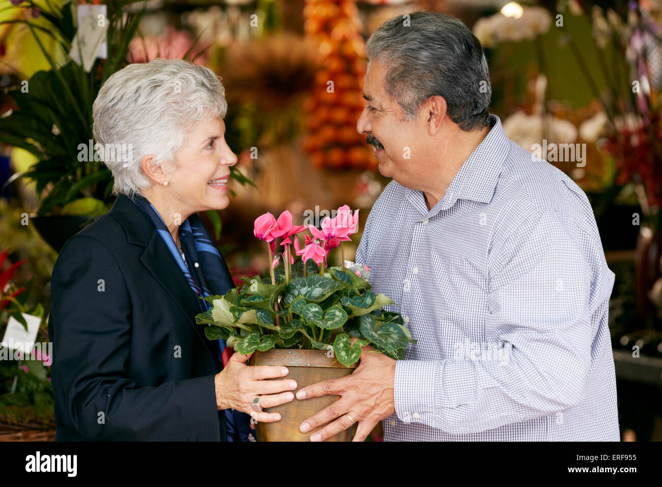 Hombre Senior comprar planta como regalo para mi esposa Foto de stock