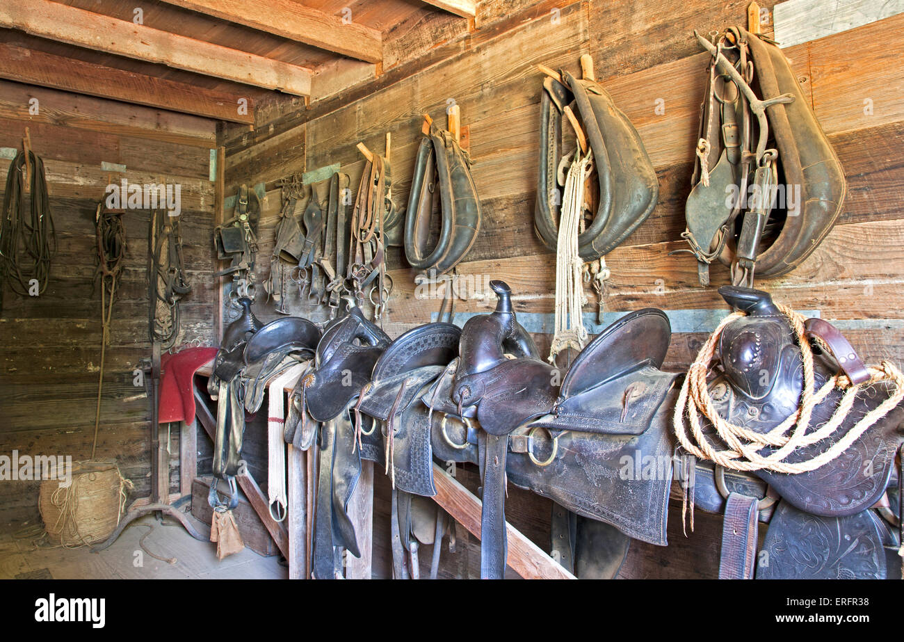 Sillines listo para trabajar, se alinearon en el antiguo establo, Sauer-Beckman Living History Farm, LBJ State Park, Stonewall, Texas. Foto de stock