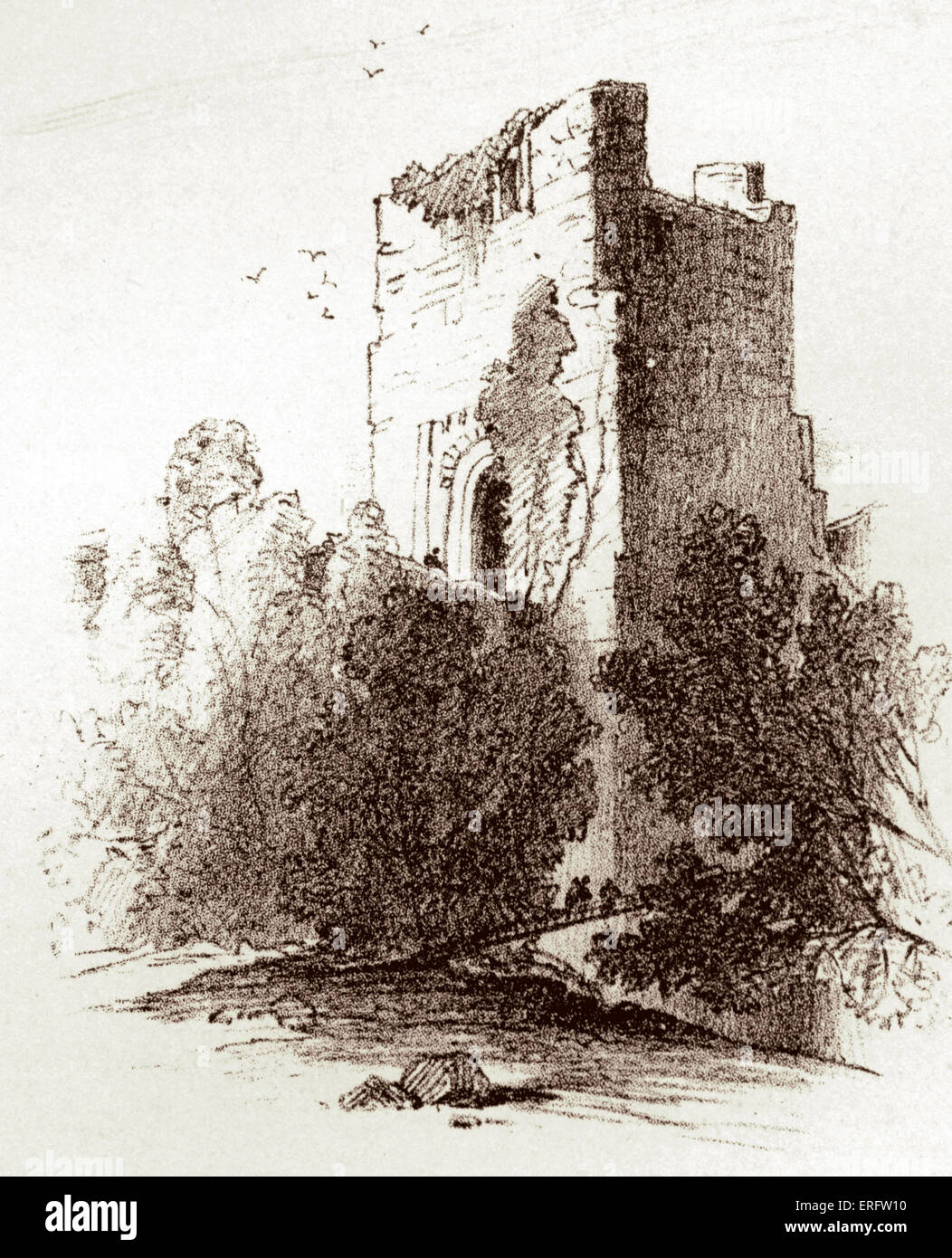 Farnham - primer castillo construido en 1138 por Henri de Blois, nieto de Guillermo el Conquistador, Obispo de Winchester, el castillo Foto de stock