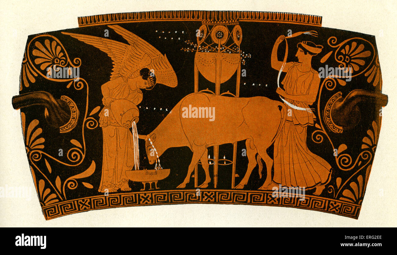 Figura roja griega jarrón mostrando las mujeres que cuidan de un toro sacrificial. Atenea, circa 5to siglo AEC. Foto de stock