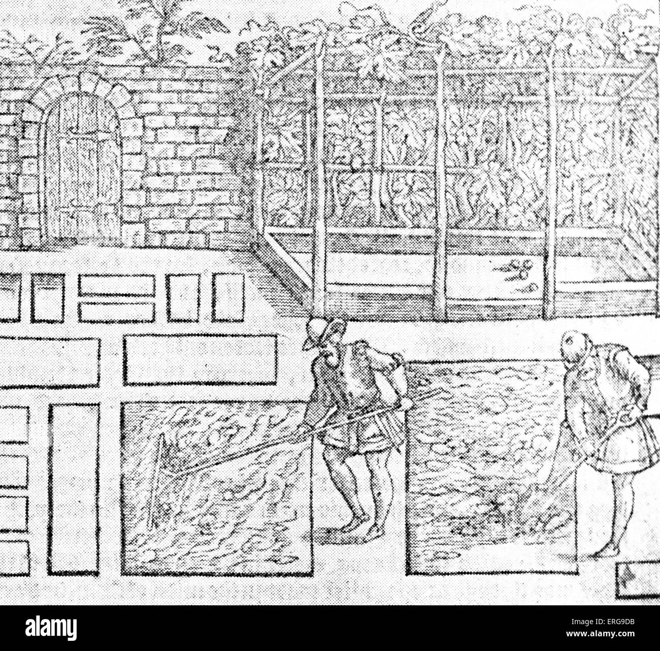 Vid herber - desde Thomas Hyll 's "el jardinero 's laberinto". Siglo 16. Foto de stock
