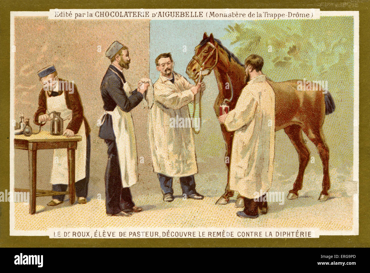 Pierre Paul Émile Roux (1853-1933), alumno y después colega de Louis Pasteur descubrió la cura para la difteria. Desde Foto de stock