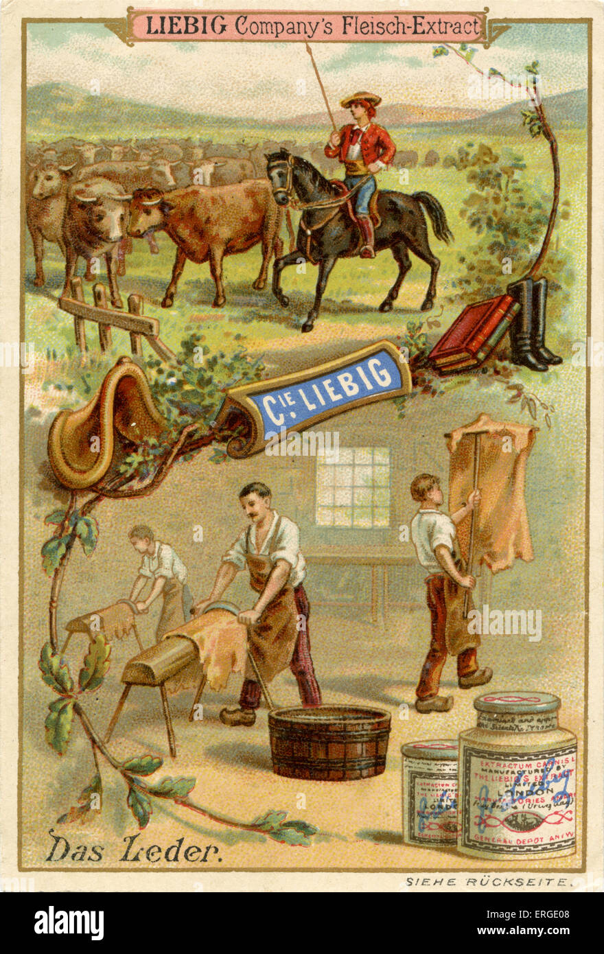 Cuero ('Dcomo Leder') - La Compañía Liebig cartas coleccionables, recursos naturales. Publicado 1892. Foto de stock