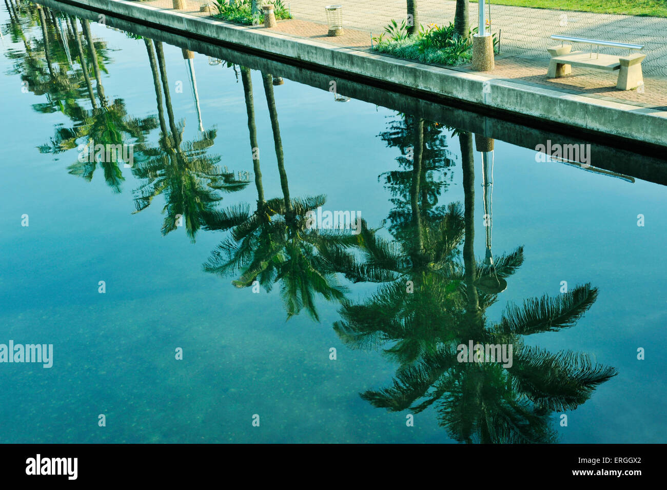 Reflejo de verde palma frentes en quietas aguas de canal en la playa de Durban Foto de stock