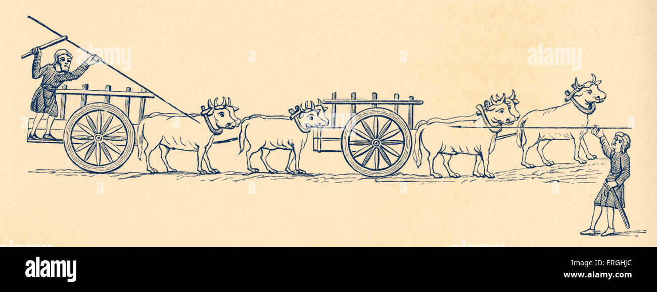 Siendo los carros tirados por bueyes en la Inglaterra del siglo 11. Reproducción del siglo xix ilustración. Foto de stock