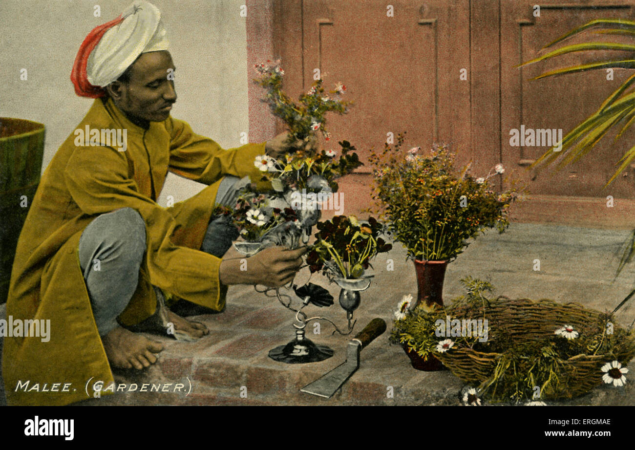 Malee (jardinero). Colourised fotografía de principios del siglo XX. Un sirviente indio reorganiza las flores. Foto de stock