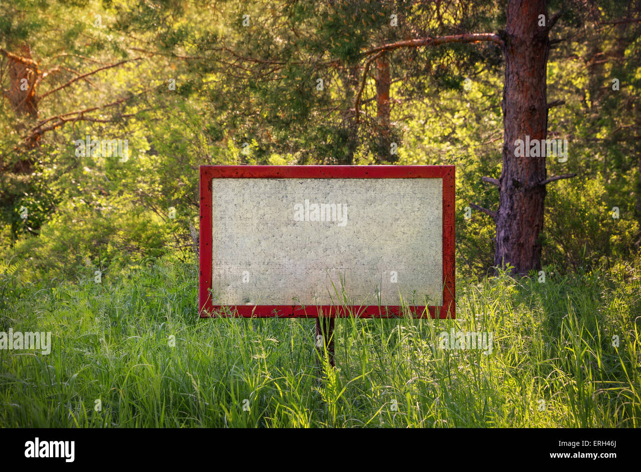 Antiguo cartel en blanco en el bosque Foto de stock
