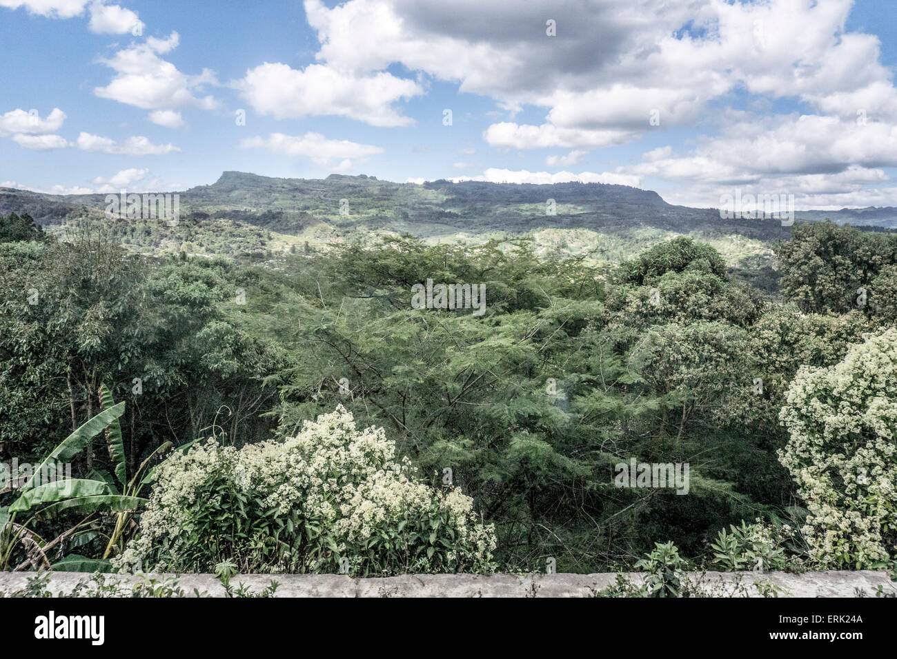 Boscosas rurales high country, cerca de San Cristóbal de las casas con hermosas sombras de nubes a través del paisaje y las montañas distantes Foto de stock