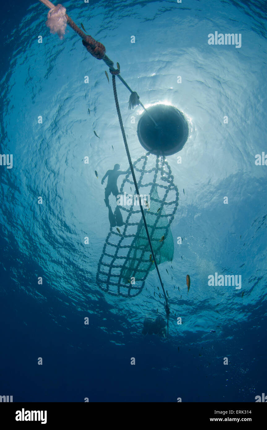 Aggregation fotografías e imágenes de alta resolución Alamy