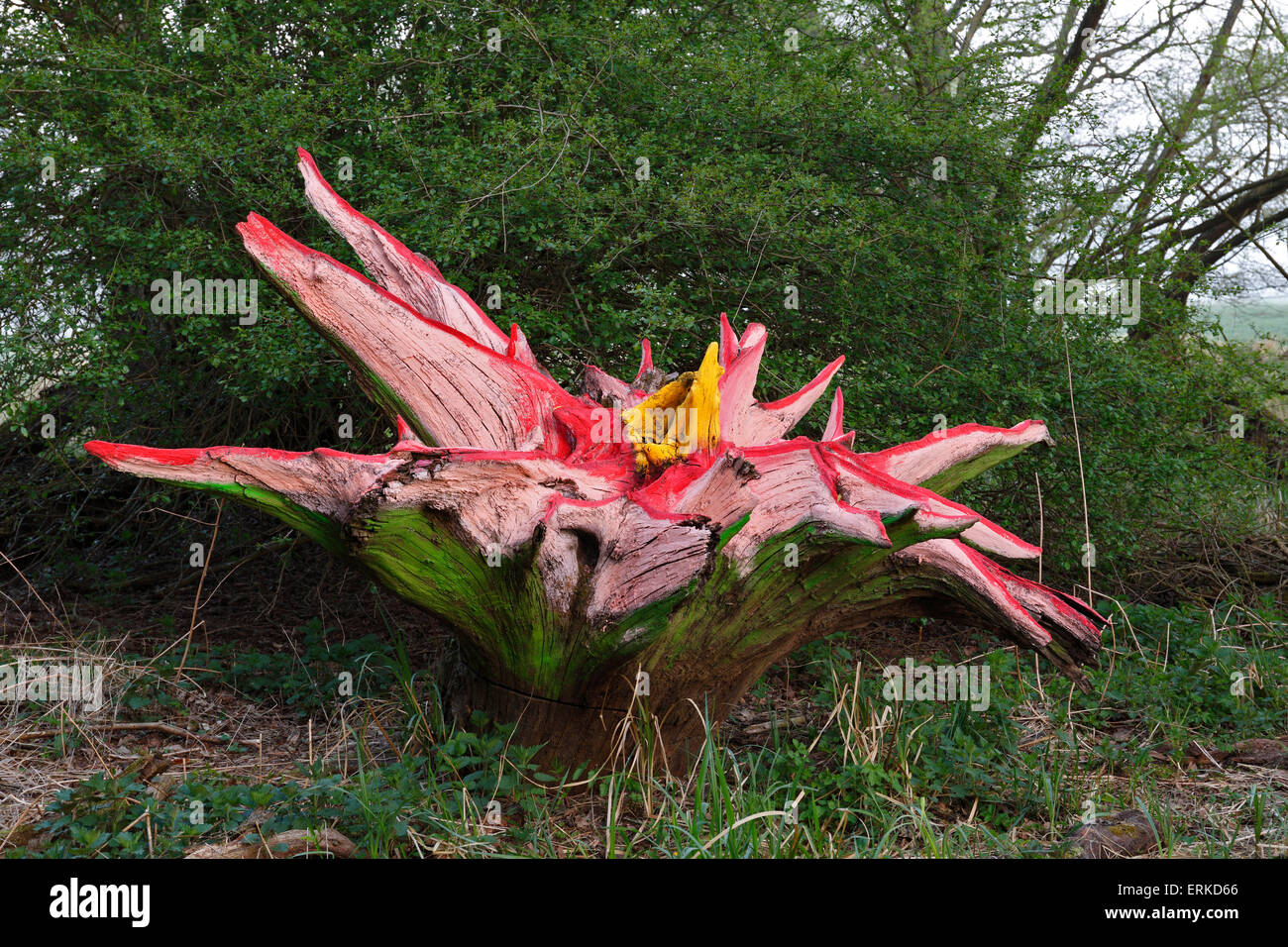 El arte de la madera, la simbiosis de las estructuras naturales y pintura, Reserva de la Biosfera del Elba medio, Sajonia-Anhalt, Alemania Foto de stock
