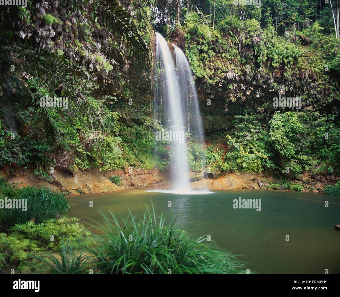 Cascada en la selva; Sarawak Foto de stock