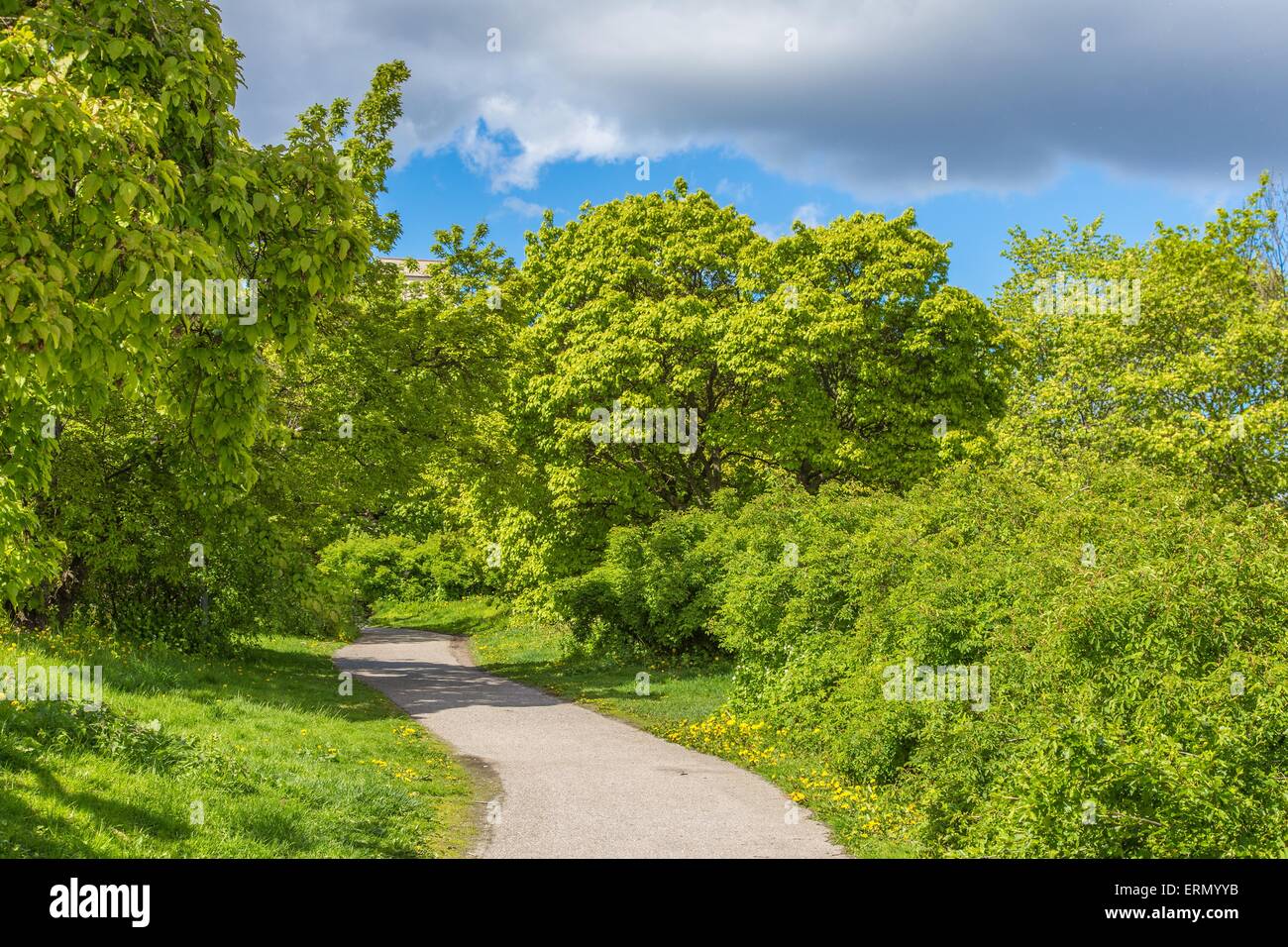 Hermosa Glade durante el verano con el verde de los arbustos, árboles y un cielo nublado en Estocolmo, Suecia Foto de stock