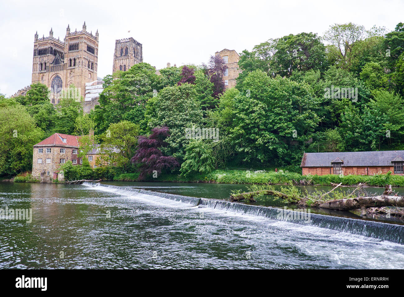 El desgaste del río está por encima de la Catedral y el castillo de Durham UK Foto de stock
